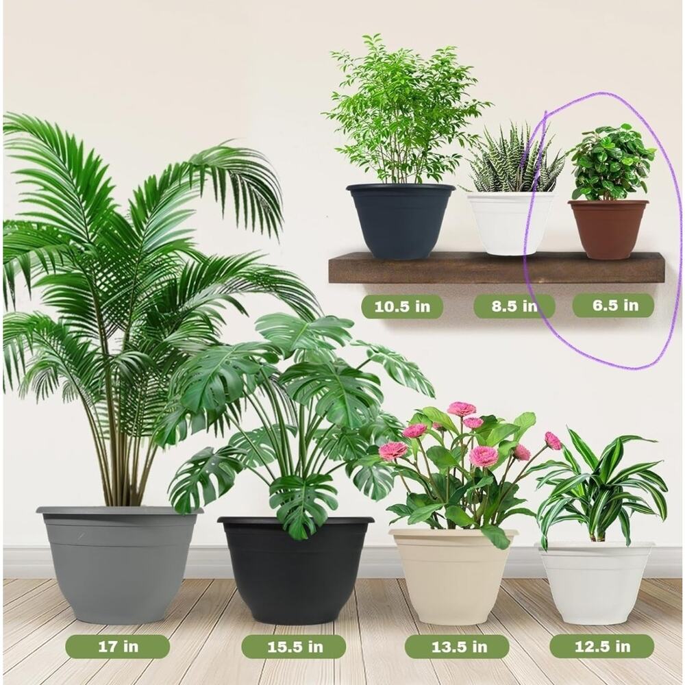 Plant Pots for 6.5 Inches Plastic Round Black 4 Pack - Picture 3 of 3